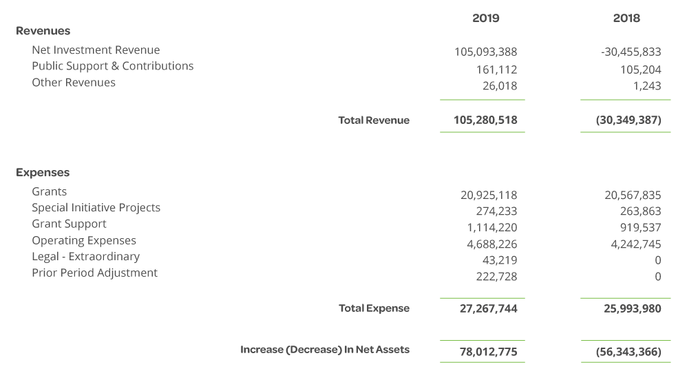 Health Forward Foundation statement of changes in net assets