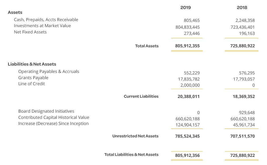 Health Forward Foundation statement of financial position